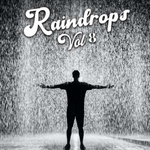VA - Raindrops Vol 8