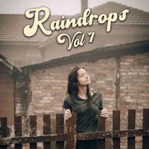 VA - Raindrops Vol 7