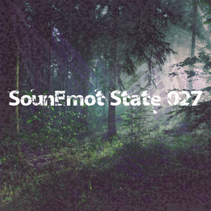 VA - SounEmot State [27] 
