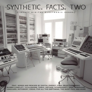 VA - Synthetic. Facts. Two