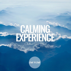  VA - Calming Experience: Chillout Your Mind