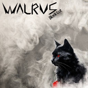Walrus - Black Cat