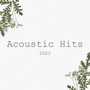 VA - Acoustic Hits