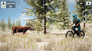 Mountain Bicycle Rider Simulator