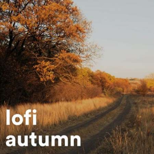 VA - lofi autumn