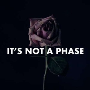 VA - It's Not a Phase