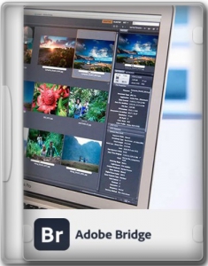 Adobe Bridge 2024 14.0.4.222 RePack by KpoJIuK [Multi/Ru]