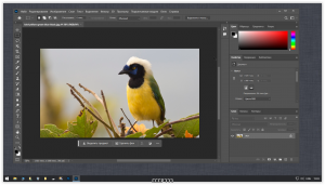 Adobe Photoshop 2024 25.7.0.504 Full Portable by 7997 [Multi/Ru]