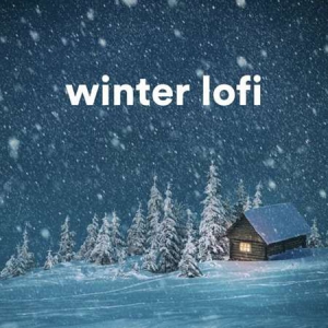 VA - winter lofi
