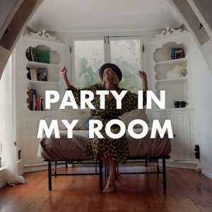 VA - Party in my room