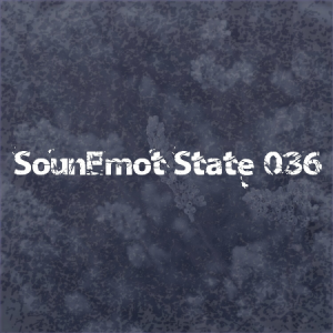 VA - SounEmot State [36]