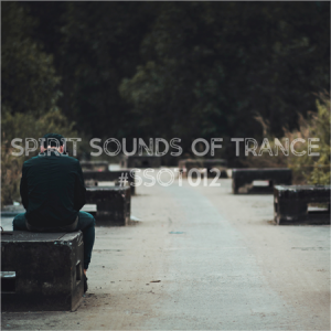 VA - Spirit Sounds of Trance [12]
