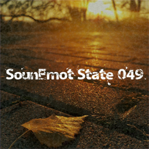 VA - SounEmot State [49]