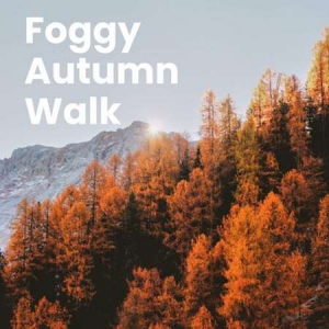 VA - Foggy Autumn Walk