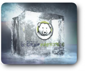 Faronics Deep Freeze SERVER Enterprise 8.38.270.5256 [Multi]