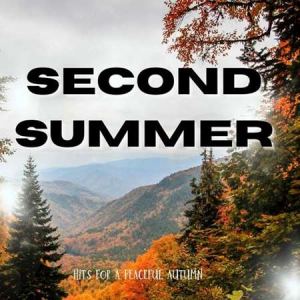 VA - Second Summer - Hits for a Peaceful Autumn