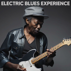 VA - Electric Blues Experience