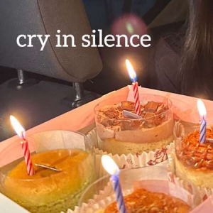 VA - cry in silence