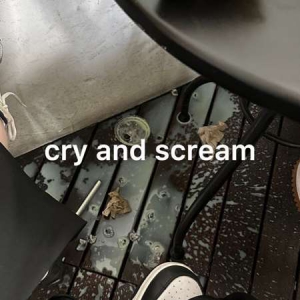 VA - cry and scream