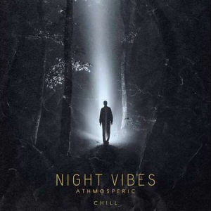 VA - Night Vibes - Atmospheric Chill