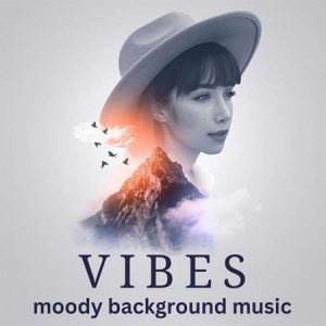 VA - Vibes - moody background music