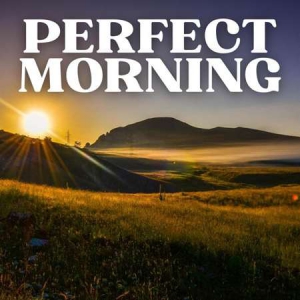VA - Perfect Morning