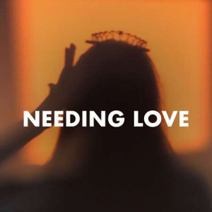 VA - Needing Love
