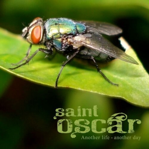 Saint Oscar - Another Life - Another Day