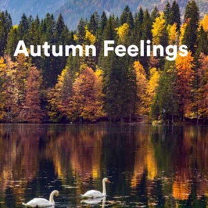 VA - Autumn Feelings