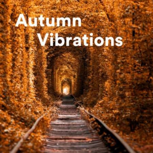 VA - Autumn Vibrations