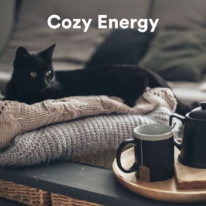 VA - Cozy Energy