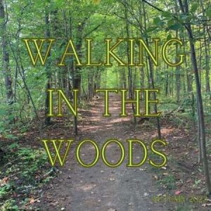 VA - Walking in the Woods Autumn