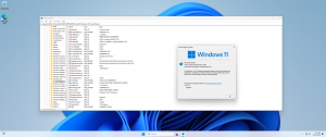 Microsoft Windows 11 IoT Enterprise [10.0.22631.2428], Version 23H2 -    Microsoft MSDN [En]