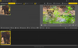 Icecream Video Editor Pro 3.10 Portable by 7997 [Multi/Ru]
