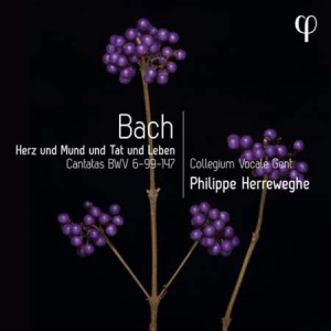 Collegium Vocale Gent - Herz und Mund und Tat und Leben - Bach: Cantatas BWV 6-99-147