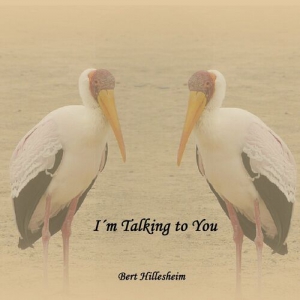 Bert Hillesheim - I'm Talking to You