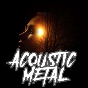 VA - Acoustic Metal