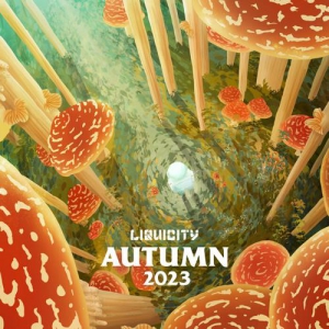 VA - Liquicity Autumn