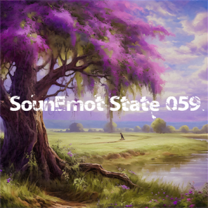 VA - SounEmot State [59]