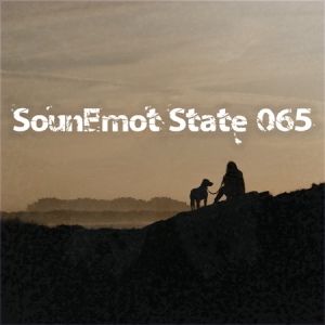 VA - SounEmot State [65]