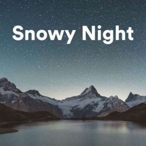 VA - Snowy Night
