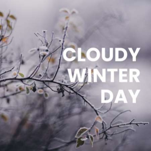 VA - Cloudy Winter Day