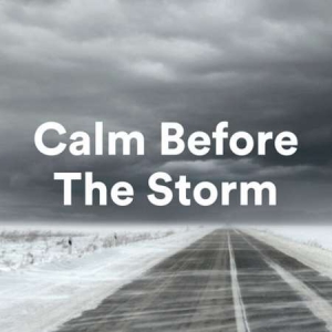 VA - Calm Before The Storm