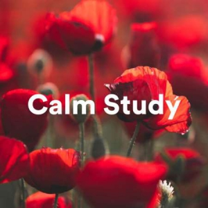 VA - Calm Study