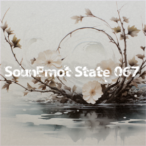 VA - SounEmot State [67]