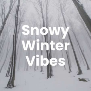 VA - Snowy Winter Vibes