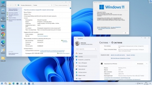 Microsoft Windows 11 Professional VL x64 23H2 RU by OVGorskiy 03.2024