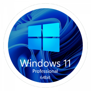 Windows 11 23H2 Professional [22631.3155] (14.02.2024) by bulygin-dima [Ru]