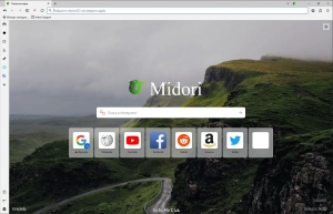 Midori Browser 11.3.1 + Portable [Multi/Ru]