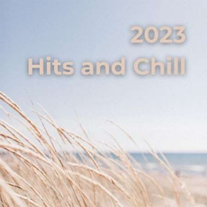 VA - 2023 Hits And Chill